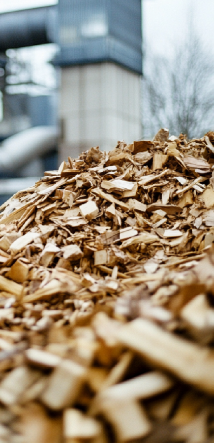 Sustainability